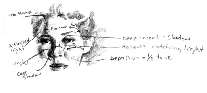 woman contour face loomis