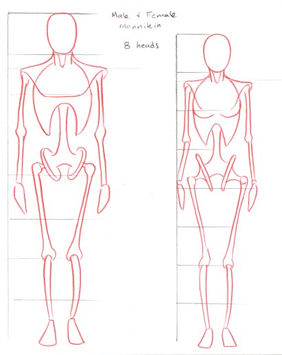male and female mannikin
